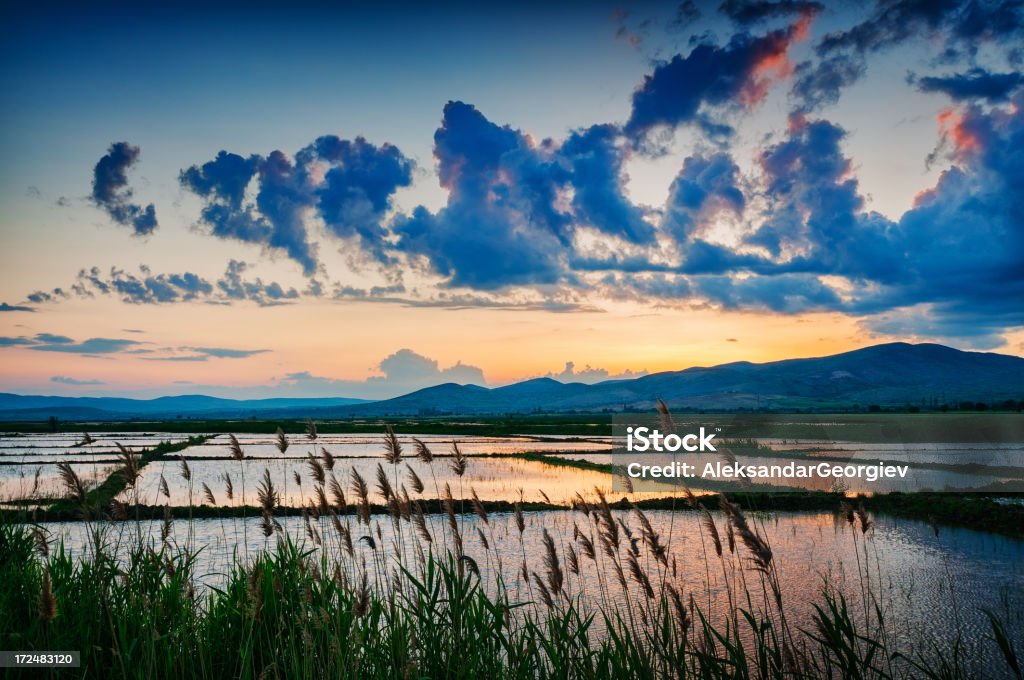 Dramatischen Sonnenuntergang über frische hinter Reis Felder - Lizenzfrei Regen Stock-Foto