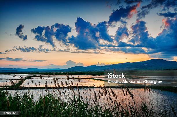 Dramatischen Sonnenuntergang Über Frische Hinter Reis Felder Stockfoto und mehr Bilder von Regen