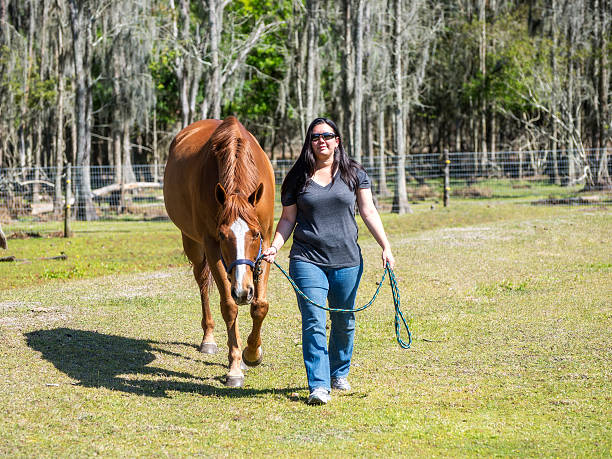 istock Woman Walking a Horse 172483195