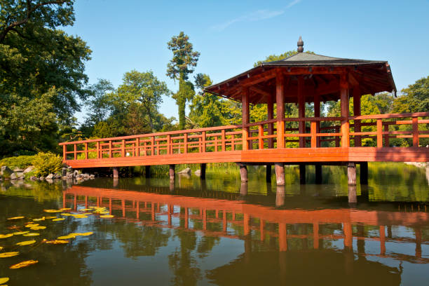 istock Wooden bridge in the park 172483274
