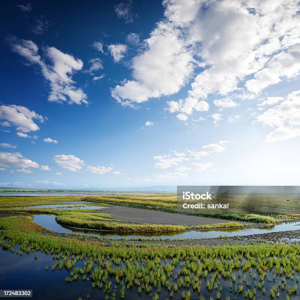 Hermoso Cielo De Verano De Pescado La Industria Foto de stock y más banco de imágenes de Abstracto - Abstracto, Agua, Aire libre