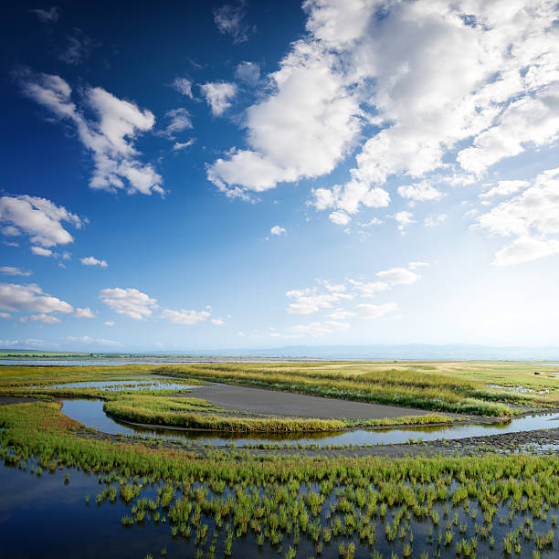 istock Beautiful summer sky over fish industry. 172483302
