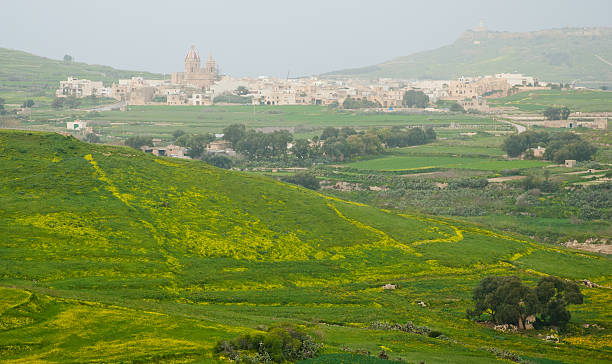 istock Landscape of Gozo 172483505