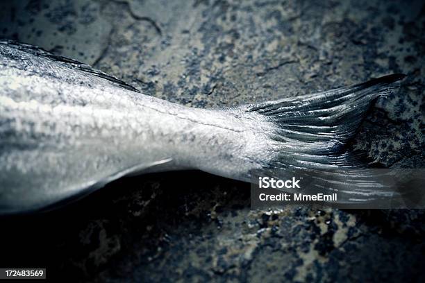 Fish Tail Stock Photo - Download Image Now - Animal, Close-up, Color Image