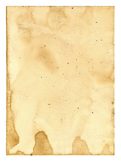 istock Grunge brown paper textured background isolated 172483713
