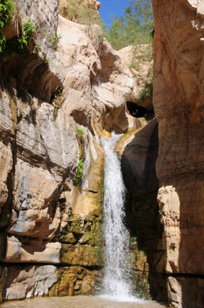 Arugot River Oasis, Ein Gedi, Israel