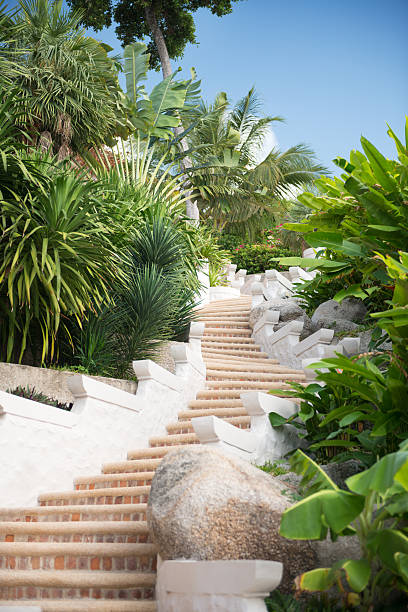 istock Stairway leading through tropical Garden (XXXL) 172484671