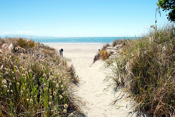 Beach Scene, Summer  nelson landscape beach sand stock pictures, royalty-free photos & images