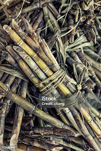 Sugar Cane Stockfoto und mehr Bilder von Bildhintergrund - Bildhintergrund, Botanik, Einige Gegenstände - Mittelgroße Ansammlung