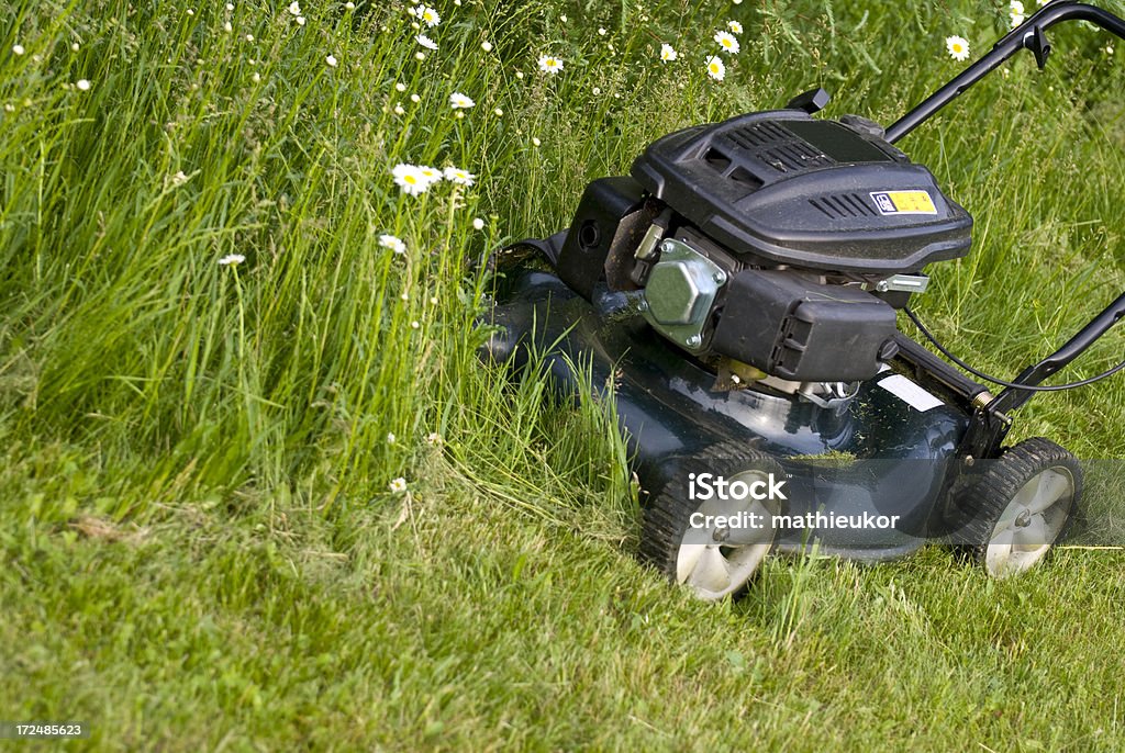 Tondre la pelouse - Photo de Appareil de musculation libre de droits