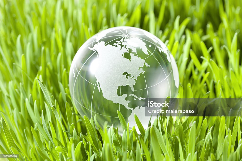 Verde mondo. - Foto stock royalty-free di Erba aromatica