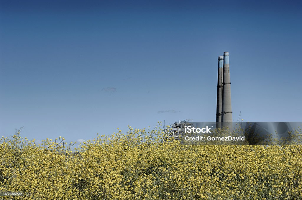 Frühling Blumen Hintergrund mit kühlenden Towers im - Lizenzfrei Blau Stock-Foto