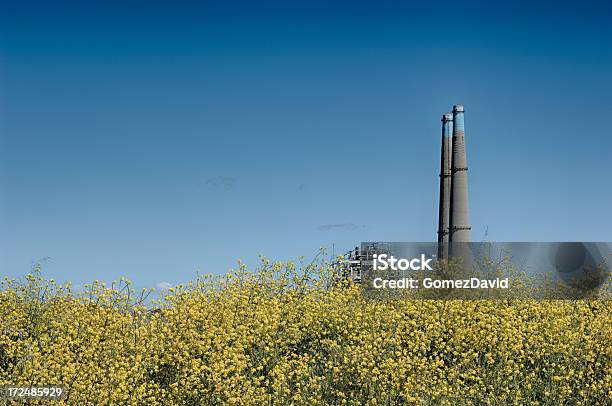 Flores De Primavera Con Torres De Refrigeración En El Fondo Foto de stock y más banco de imágenes de Aire libre