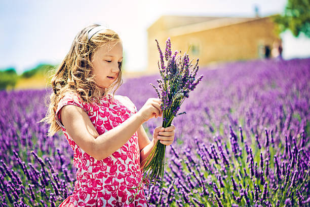 istock In the field of lavender 172485976