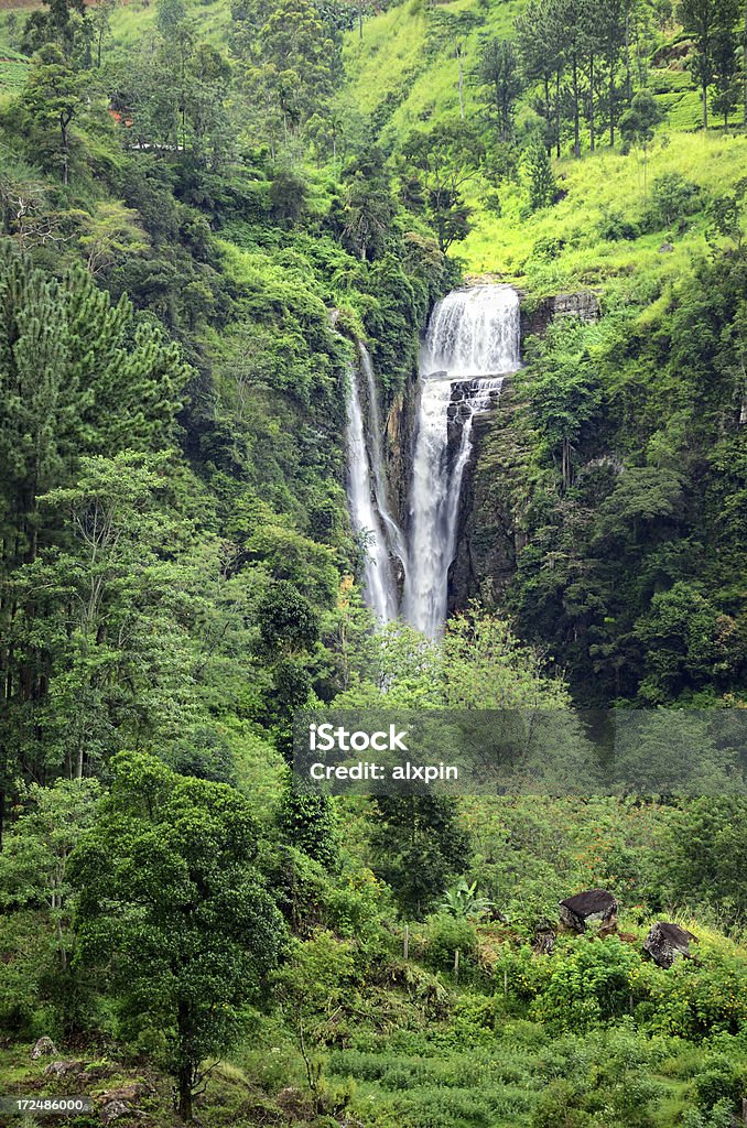 Cachoeira no Sri Lanka - Foto de stock de Caindo royalty-free