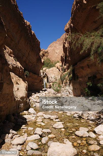 Fiume Arugot Oasi Ein Gedi Israele - Fotografie stock e altre immagini di Acqua - Acqua, Ambientazione esterna, Ambientazione tranquilla