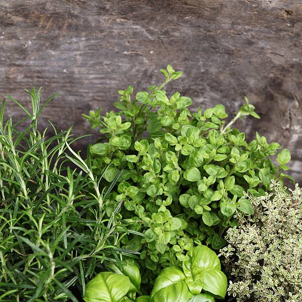 istock Herbs and wooden background 172486680