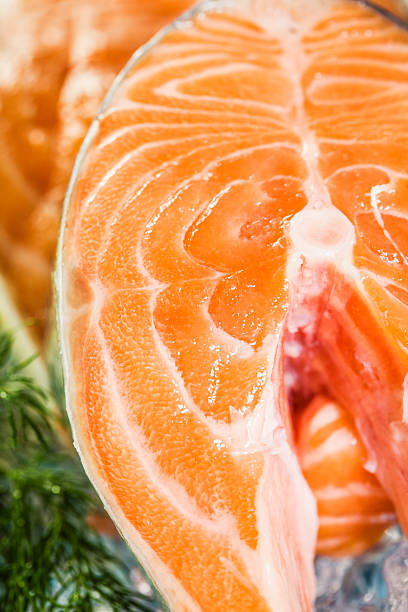 darne de saumon - freshness seafood crushed ice salmon photos et images de collection