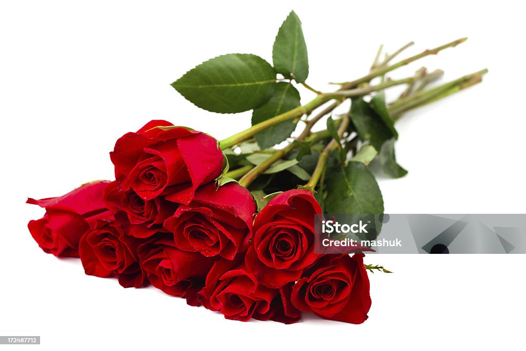 Rosas - Foto de stock de Beleza natural - Natureza royalty-free