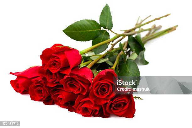 Foto de Rosas e mais fotos de stock de Beleza natural - Natureza - Beleza natural - Natureza, Botão - Estágio de flora, Bouquet