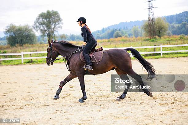 女性の馬の乗馬 - 1人のストックフォトや画像を多数ご用意 - 1人, 20代, ウマ