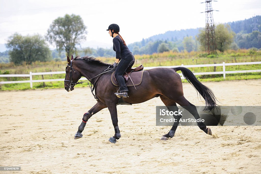 Mulher andando a cavalo - Foto de stock de 20 Anos royalty-free