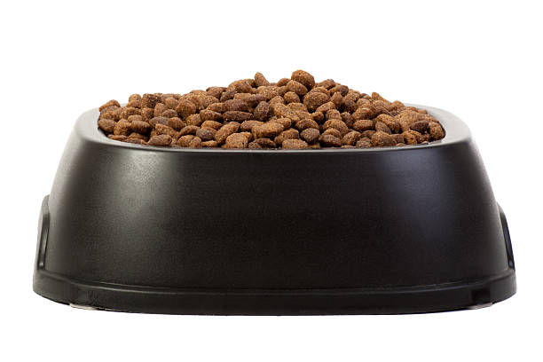 istock Dog food dish 172488367