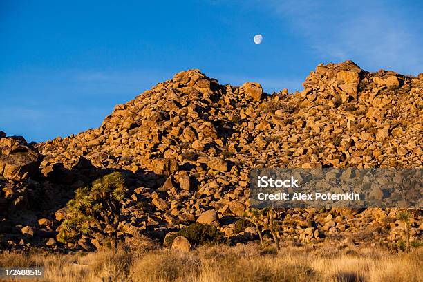 A Lua Parque Nacional De Joshua Tree - Fotografias de stock e mais imagens de Ao Ar Livre - Ao Ar Livre, As Américas, Beleza natural