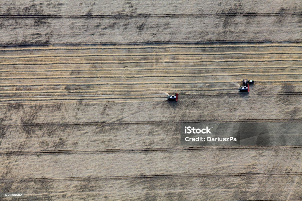 Foto aérea da colheita de Grãos - Royalty-free Acima Foto de stock