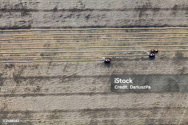 Foto Aérea Da Colheita De Grãos - Fotografias de stock e mais imagens de Acima - Acima, Agricultura, Ajardinado