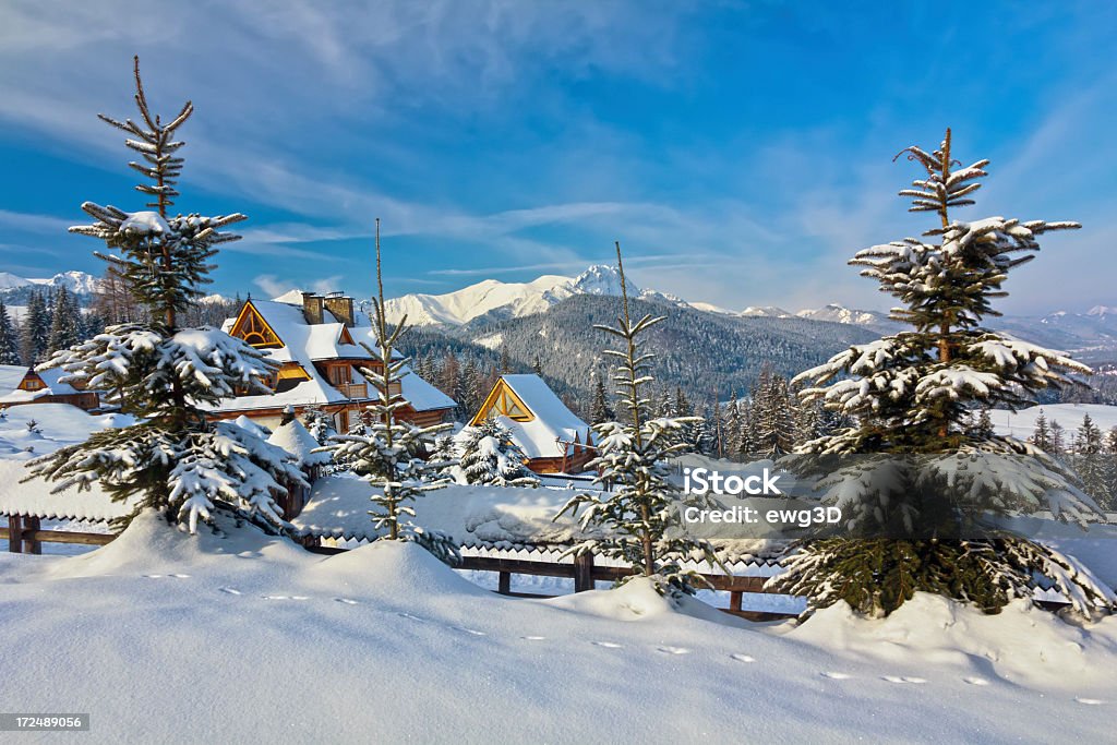 Vacanza chalet di montagna coperta di neve - Foto stock royalty-free di Alpi