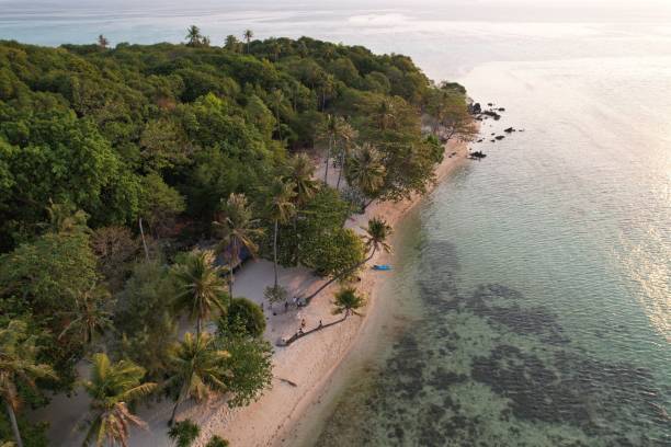 istock Karimun Jawa Island, palm tree and tropical island 1724907277