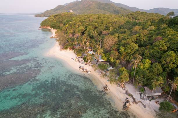 istock Karimun Jawa Island, palm tree and tropical island 1724907288