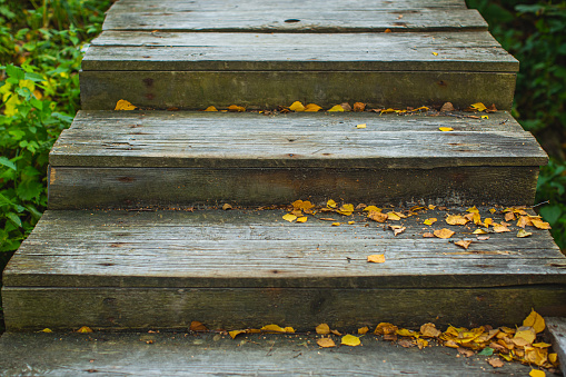 Fallen autumn leaves on wooden staircase