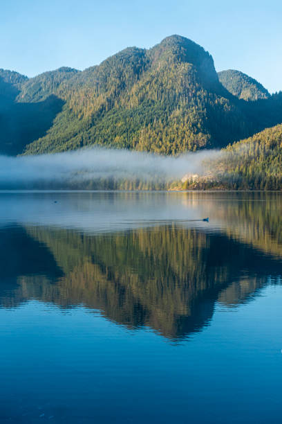 Vwertical landscape with reflection, Vancouver Island, Canada stock photo