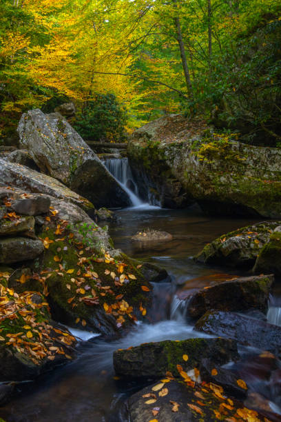 istock Cascading creek in fall in Virginia 1725007673