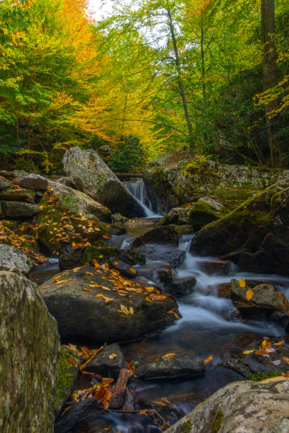 istock Cascading creek in fall in Virginia 1725007675