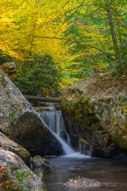 istock Cascading creek in fall in Virginia 1725008145