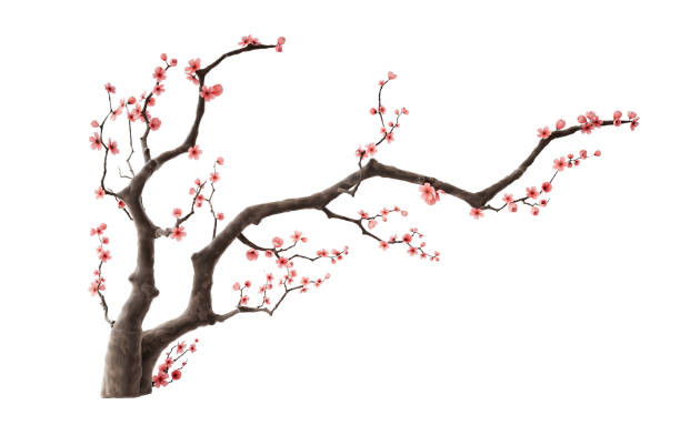 istock Plum blossom with Chinese ink painting style, 3d rendering. 1725010326