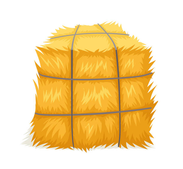 100+ Bale Haystack Hay Cube Stock Photos, Pictures & Royalty-Free ...