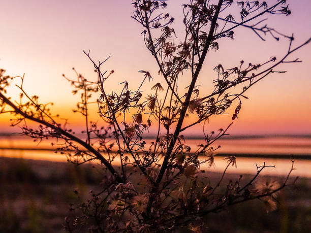 istock Season Of The Sticks 1725042019