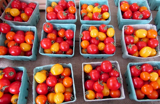 Red, orange and brown tomatoes in blue carton boxes at farmer market