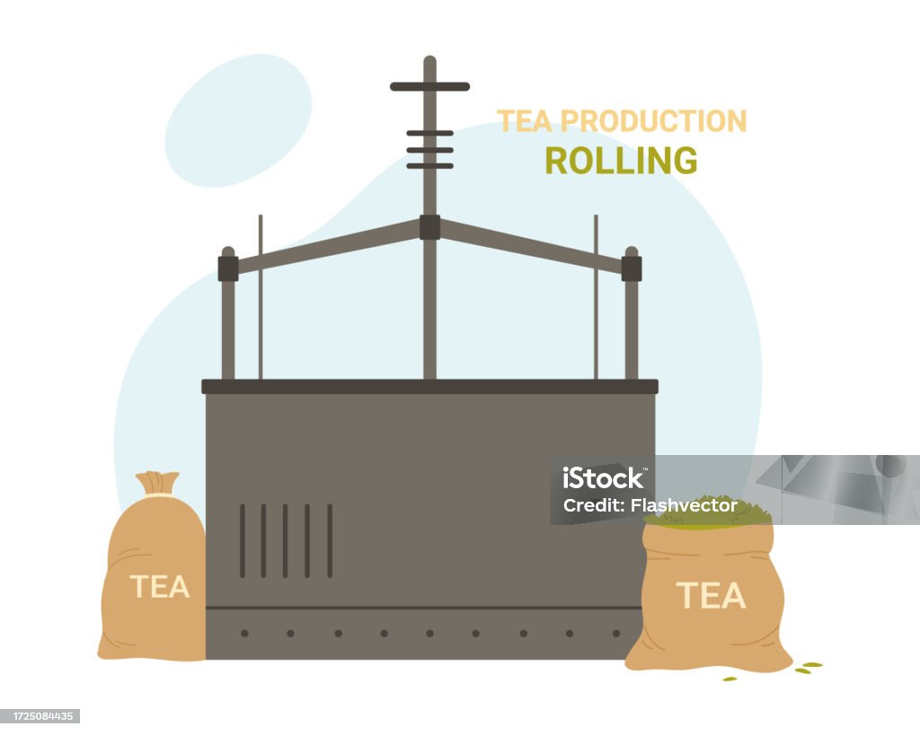 Distribution Process For Tea Rolling Process In Tea Production Stock Illustration - Download Image ...