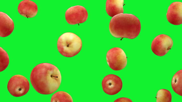 Apples are falling into transparent space on green screen background. Seamless looped 4K Footage