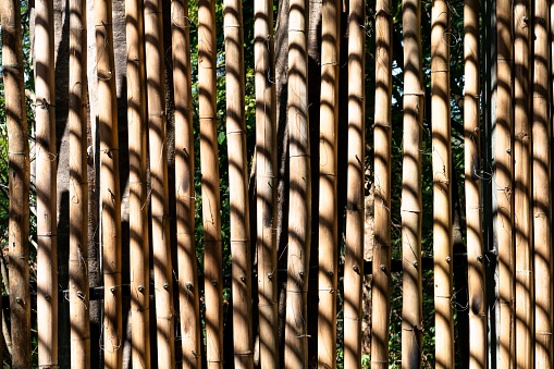 dry bamboo fence pattern with black shadow