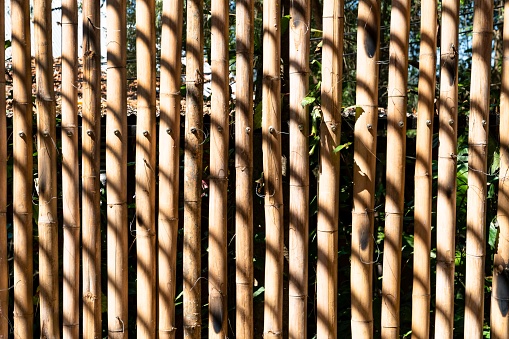 dry bamboo fence pattern with black shadow