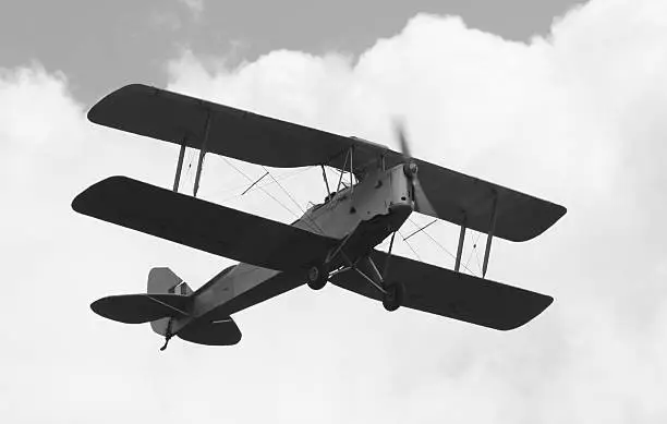 Tiger Moth in black and white.