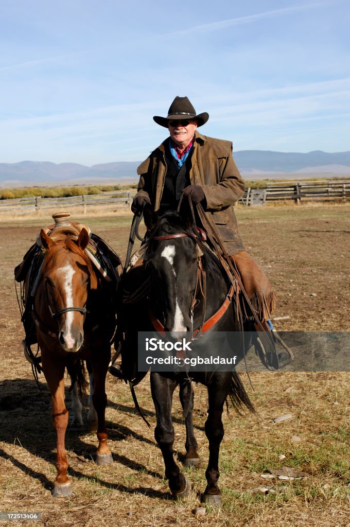 Cowboy a cavallo leader - Foto stock royalty-free di Adulto