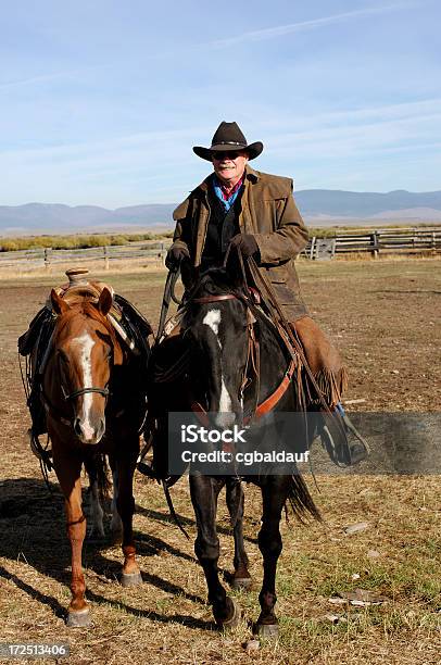 Cowboy A Cavallo Leader - Fotografie stock e altre immagini di Adulto - Adulto, Agricoltura, Andare a cavallo