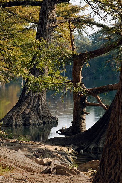 istock Frio River at Garner State Park in Texas Hill Country 172513431